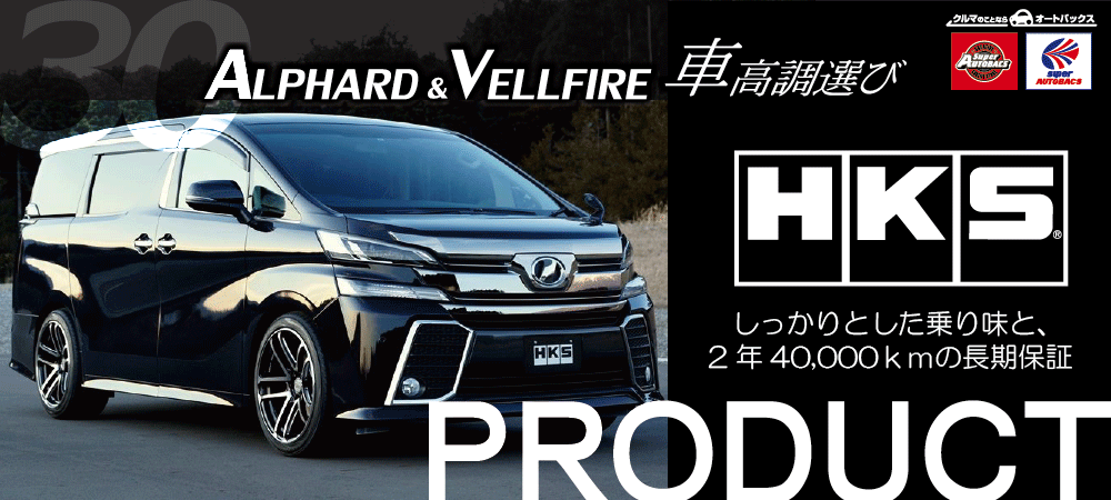 HKS STYLE L アルファード　車高長